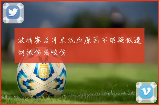 波特赛后耳朵流血原因不明疑似遭到抓伤或咬伤