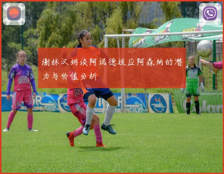 谢林汉姆谈阿诺德适应阿森纳的潜力与价值分析