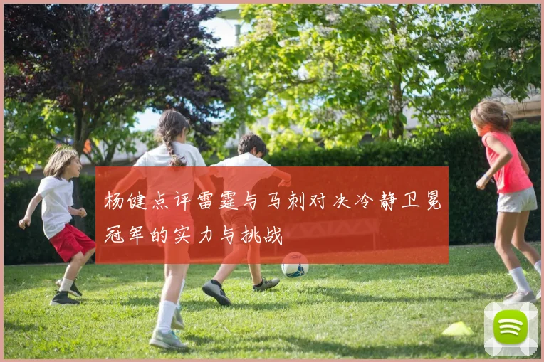 杨健点评雷霆与马刺对决冷静卫冕冠军的实力与挑战
