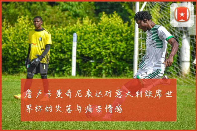 詹卢卡曼奇尼表达对意大利缺席世界杯的失落与痛苦情感