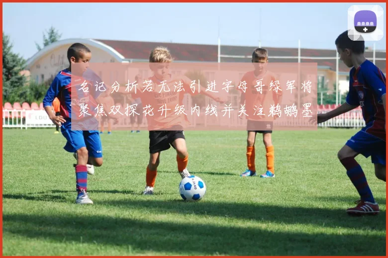 名记分析若无法引进字母哥绿军将聚焦双探花升级内线并关注鹈鹕墨菲